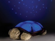 Nočná svietiaca korytnačka - Hnedá