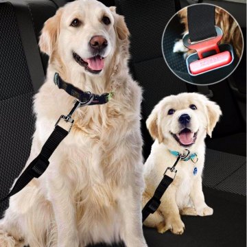Nastaviteľný bezpečnostný pás pre psa